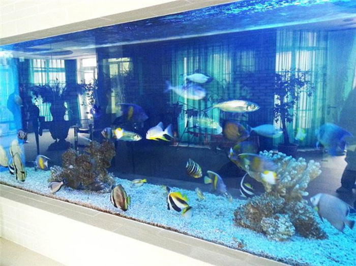 亞克力魚缸 (10)
